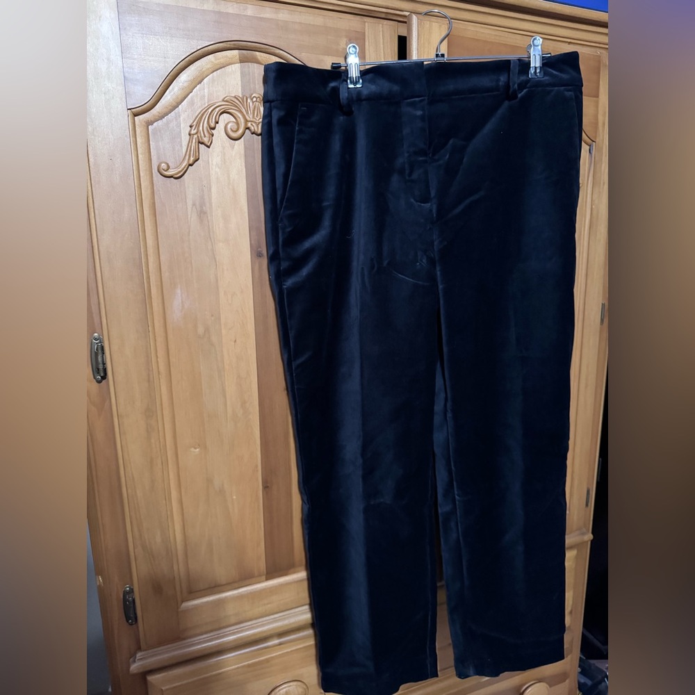 Loft velvet pants size 12. BNWT